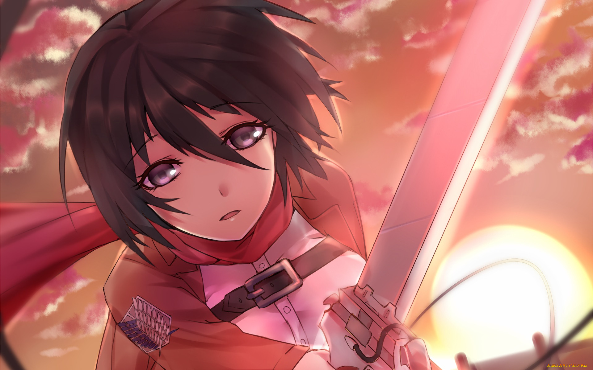 , shingeki no kyojin, 